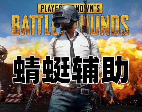 绝地求生蜻蜓辅助