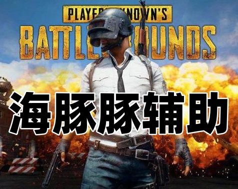 绝地求生海豚豚辅助