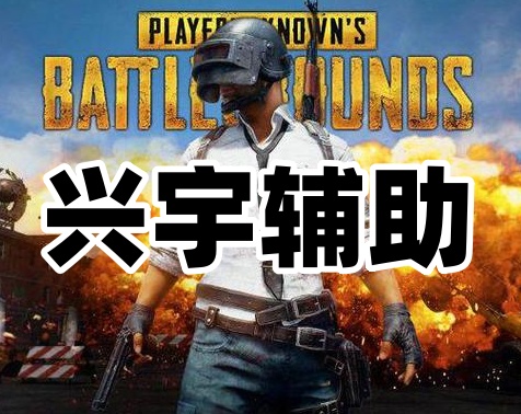 绝地求生兴宇辅助