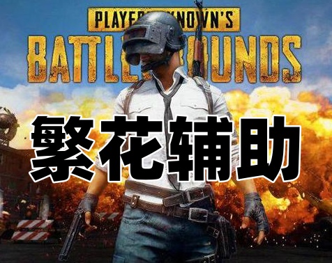 绝地求生繁花辅助